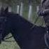 Disgraced Royal Prince Andrew Nearly Avoids Being Thrown Off His Horse During Morning Ride Photos