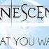 Evanescence What You Want