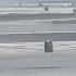 Nobody At SFO Wants To Take Off During Windy Weather Except This Bag