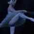 Swan Lake Act 2 White Swan Pas De Deux Adagio Marianela Nunez Vadim Muntagirov