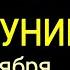 АЛЫЕ ПАРУСА НОВОЛУНИЕ 1 2 НОЯБРЯ 2024 Что ДЕЛАТЬ Растущая Луна с 1 15 11 2024 от OLGA STELLA