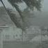 Thrashing Palm Trees Strong Winds And Torrential Rain Typhoon Dolphin 4K Stock Footage Screener