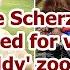 Breaking News Nicole Scherzinger Jumps For Visiting The Zoos Poor Quality With Animals