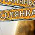 Панянка ПЕРЕВИХОВУЄ ледачого гуляку Панянка селянка Україна Польща 20 випуск