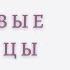 Здоровые границы Как научиться отстаивать свои интересы Терри Коул Аудиокнига