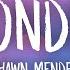 Shawn Mendes Wonder Lyrics