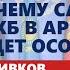 Сивков рассказал почему саммит ОДКБ в Армении будет особенным