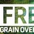 FREE Film Grain Overlays Free Assets And Elements