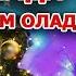 ЎЗБЕКИСТОНЛИКЛАР ЯНГИ ЙИЛ БАЙРАМИДА НЕЧА КУН ДАМ ОЛАДИ