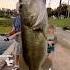 Big Bass Out Of Echo Park Lake Come Fishing With Me UrbanFishingExperience Airbnb Losangeles