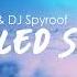 DJ Striden DJ Spyroof Healed Soul