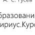 02 05 2023 А С Гусев Дистантное образование школьников Сириус Курсы