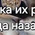 сегодня Булочка отмечает трехлетие своих детей Васи и Люси