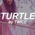 Turtle English Lyrics Twice