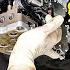 Can You Fix An Audi 7 Speed DSG Transmission