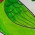 Parrot Draw ট য প খ খ ব সহজ ট য প খ আ ক শ খ ন ট য প খ আ ক র সহজ ক শলHow To Draw A Parrot