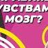 Как наш мозг управляет чувствами Интервью с физиологом Оксаной Аниховской мозг чувства жизнь