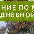 КАК ВНЕДРИТЬ СИСТЕМУ МЕДИКЛМЕДИУМ В ОБЫЧНУЮ ЖИЗНЬ ПИТАНИЕ ПО ЭНТОНИ УИЛЬЯМУ