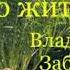 Какое счастье просто жить Владимир Заброда