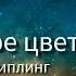 Четыре цвета глаз Редьярд Киплинг Перевод Константина Симонова