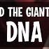 Sophie And The Giants Feat Mearsy DNA Lyrics