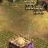 ВИНЧ или ВИВИ Решающая дуэль на Чемпионате мира среди стран Age Of Empires 2