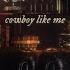 Taylor Swift Cowboy Like Me Official Lyric Video