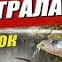 Мікроджиг восени проводки приманки та гачки Crazy Fish Arion 742SULS