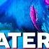 Maneater Full Gameplay Walkthrough PC HD60FPS No Commentary