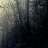 Ambient Creepy Music Road Through The Dark Forest Sad Somber Background Music