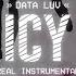 Data Luv Icy Instrumental Prod By The Cratez