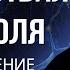 Первый год отказа от алкоголя Возбуждение и торможение нервной системы