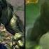 Marvel S Avengers Hulk 2020 Vs The Incredible Hulk 2008 Comparison