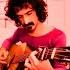 Frank Zappa Hot Guitars Out Of The Box