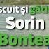 De La Rețetă La Lansetă Chef Sorin Bontea învață Să Pescuiască La șalău în Delta Dunării