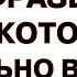 Выучи эти 50 самых простых фраз чтобы начать говорить на немецком УВЕРЕННО Немецкий для начинающих