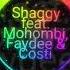 Shaggy Feat Mohombi Faydee Costi Habibi I Need Your Love Remix