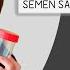 How Are Semen Samples Collected