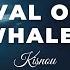 Kisnou Arrival Of The Whales Ambient Cinematic Piano