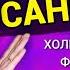 Як визначити темперамент Хто такий САНГВІНІК Психолог Катерина Зінасс