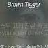 브라운티거 Brown Tigger 세대 Feat 던말릭 Tiger JK 가사ㅣLyricㅣsmay