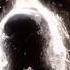 Cujo Cujo Edit Horrorshorts Dog Movie