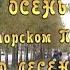 Из архива передачи Песни для друзей Осень в авторском приюте Под лесенкой 2001г