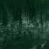 Scary Cemetery River BirdSong Horror Music 1 Hour