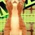 Cat Sings Roar La Voz MMD Blind Auditions