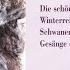 Winterreise Op 89 D 911 No 6 Wasserflut