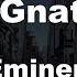 Karaoke Gnat Eminem No Guide Melody Instrumental