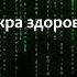 1 Муладхара чакра здоровье выживание безопасность кости и надпочечники Связь с Матрицей