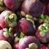 Why Mangosteen The Viral TikTok Fruit Is So Expensive So Expensive Business Insider