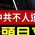 真主黨新書記薩菲丁失聯三天 任志強病重 女兒公開信或難改處境 川普重返遇刺地 感恩天意 馬斯克助陣 州長出手施救 美國麻州兩歲河狸成明星 全球新聞 新唐人电视台